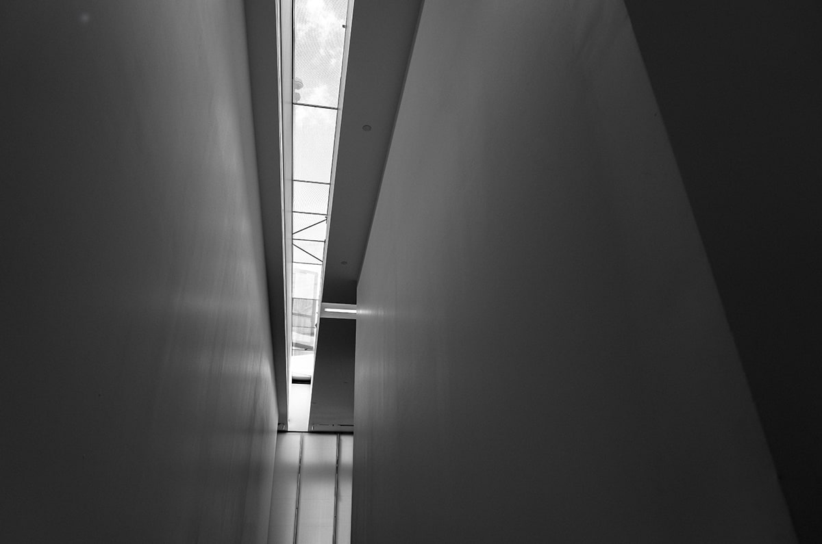 救命啊！被糖心vlog限流的第10天，被里面的吃相恶心到了。